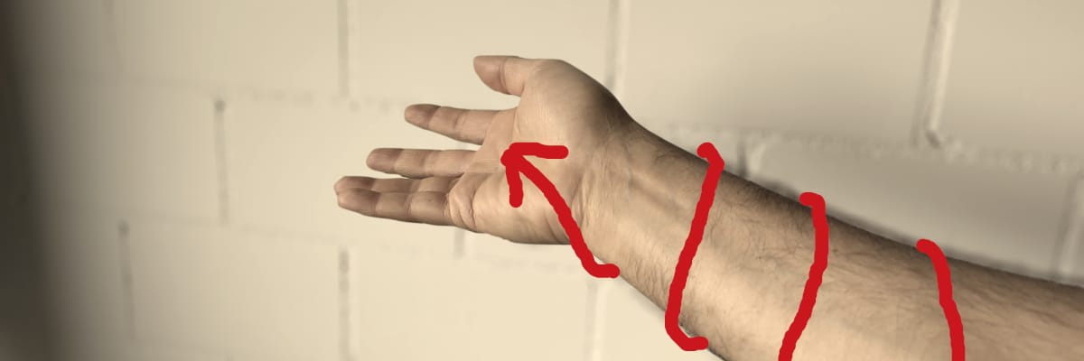 Das Handgelenk