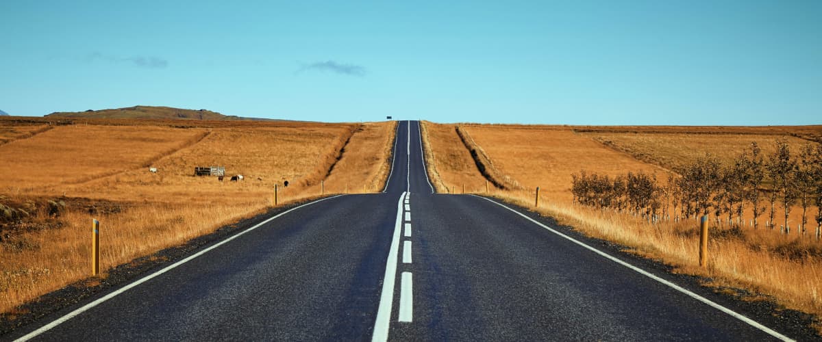 Covid-19 deer Chen Taiji Schule Chur