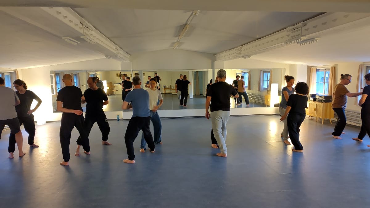 Push-Hands-Gruppe der Chen Taiji Schule in Chur